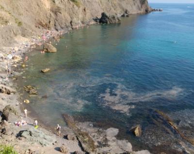 Прикрепленное изображение: fiolent-1.jpg